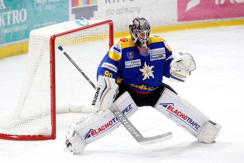 Ice Hockey. Polska Hokej Liga. Tauron KH GKS Katowice - TatrySki Podhale Nowy Targ. 20.01.2019