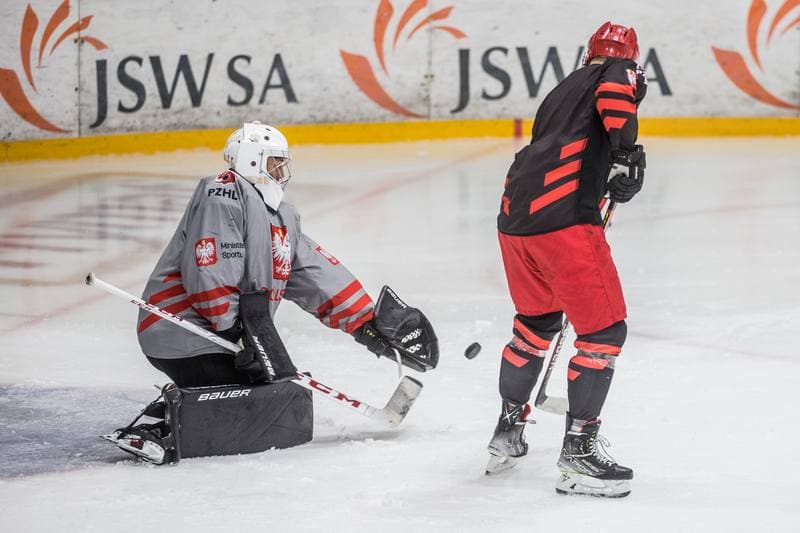 Ice Hockey. Poland national team. Training. 19.08.2021