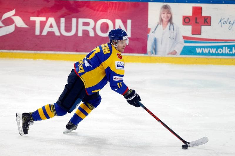Ice Hockey. Polska Hokej Liga. Tauron KH GKS Katowice - TatrySki Podhale Nowy Targ. 20.01.2019