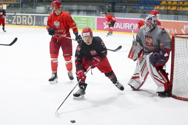 Ice Hockey. Poland national team. Training. 02.04.2024