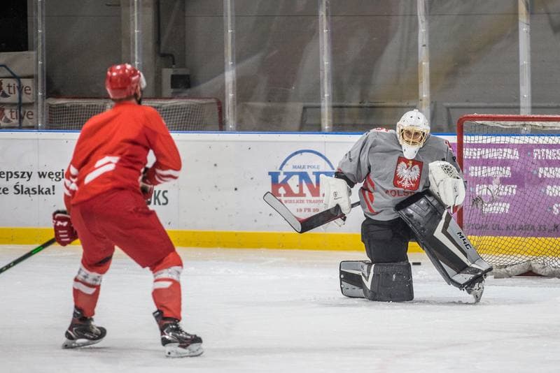 Ice Hockey. Poland national team. Training. 19.07.2021