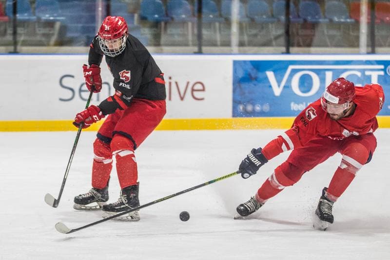 Ice Hockey. Poland national team. Training. 22.07.2021