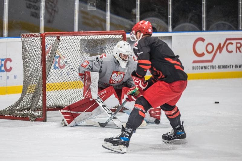 Ice Hockey. Poland national team. Training. 19.07.2021