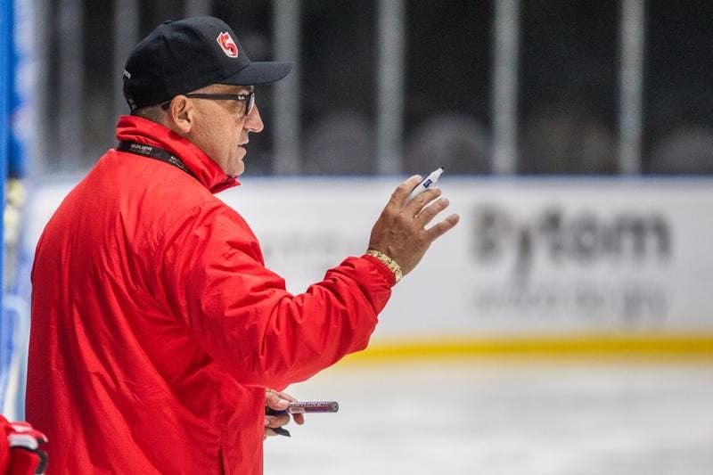Ice Hockey. Poland national team. Training. 22.07.2021
