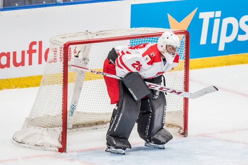 Ice Hockey. Olympic Games Qualifiers. Belarus - Poland. 26.08.2021