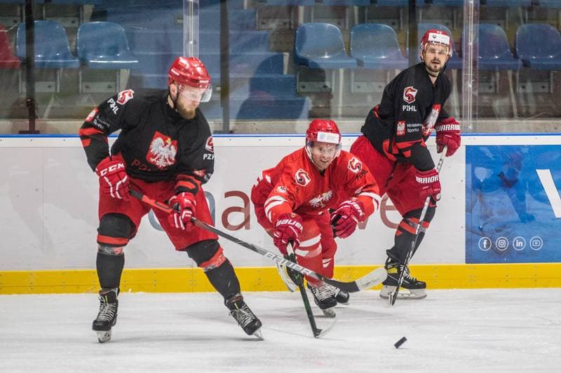 Ice Hockey. Poland national team. Training. 22.07.2021