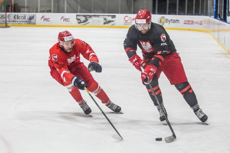 Ice Hockey. Poland national team. Training. 22.07.2021