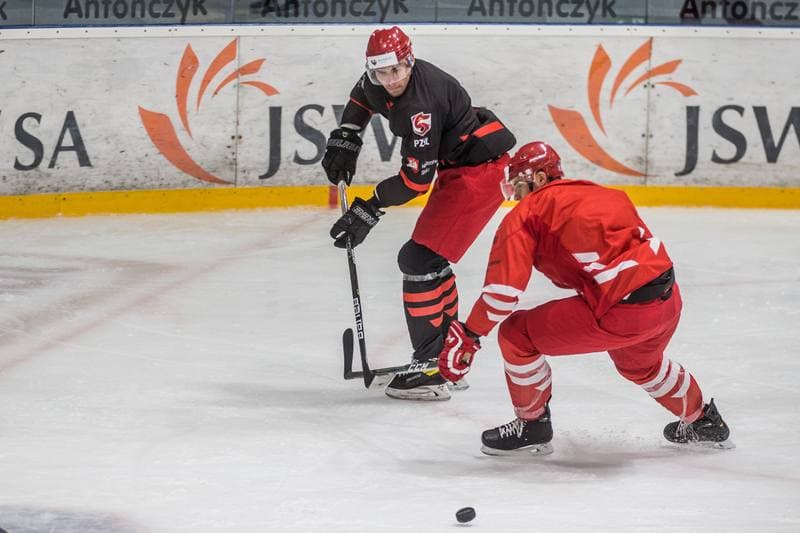 Ice Hockey. Poland national team. Training. 19.08.2021