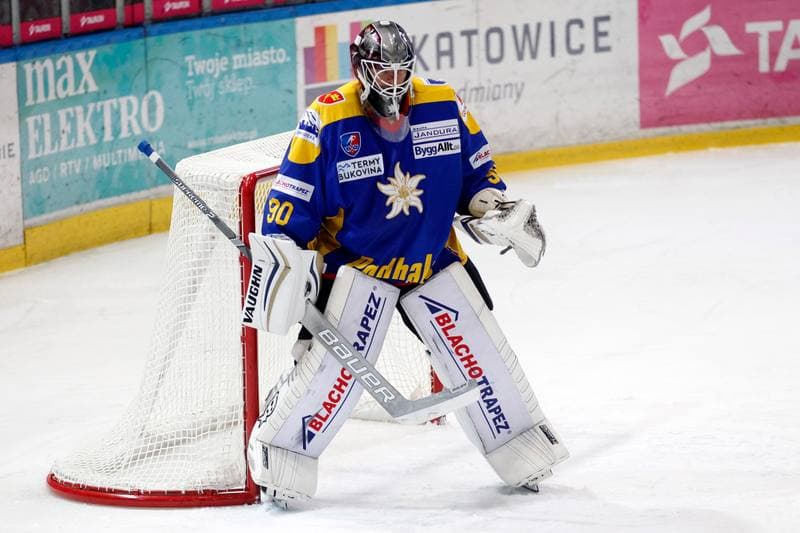 Ice Hockey. Polska Hokej Liga. Tauron KH GKS Katowice - TatrySki Podhale Nowy Targ. 20.01.2019