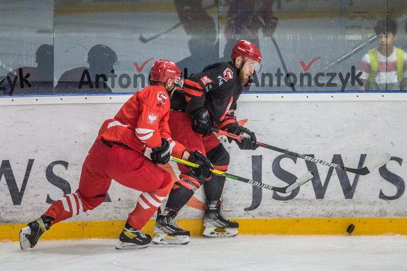 Ice Hockey. Poland national team. Training. 19.08.2021