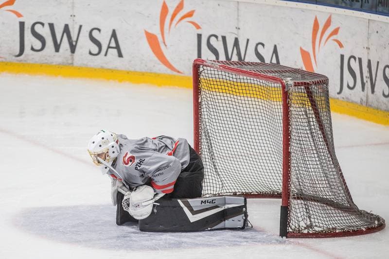 Ice Hockey. Poland national team. Training. 19.08.2021