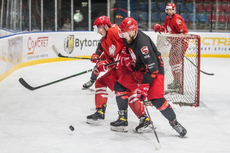 Ice Hockey. Poland national team. Training. 22.07.2021