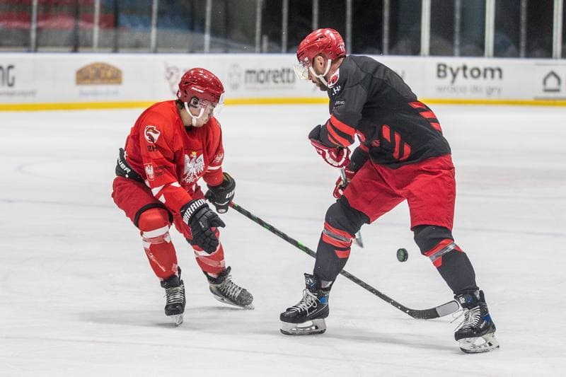 Ice Hockey. Poland national team. Training. 22.07.2021