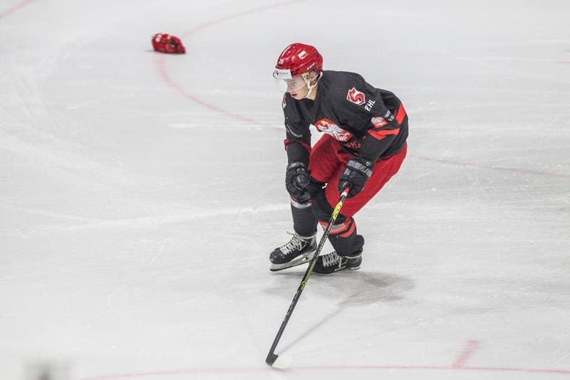 Ice Hockey. Poland national team. Training. 20.07.2021