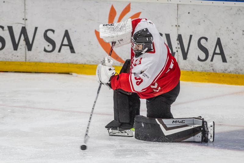 Ice Hockey. Sparing. Reprezentacja Polski - JKH GKS Jastrzebie. 22.08.2021