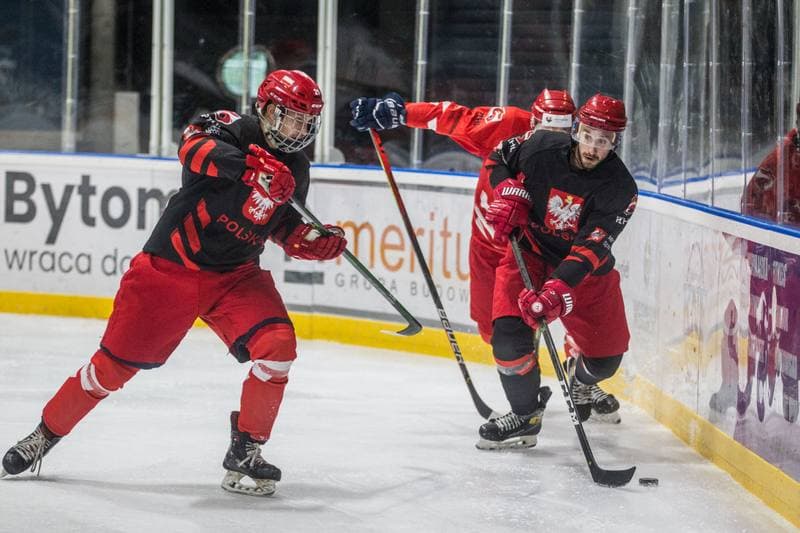 Ice Hockey. Poland national team. Training. 22.07.2021