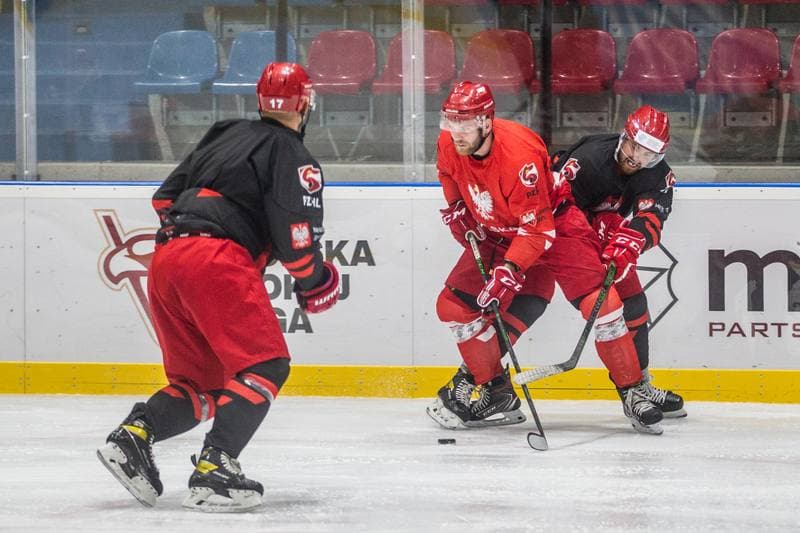 Ice Hockey. Poland national team. Training. 22.07.2021