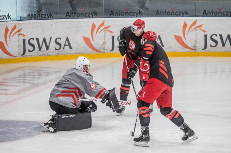Ice Hockey. Poland national team. Training. 19.08.2021