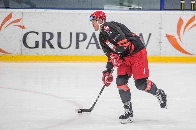 Ice Hockey. Poland national team. Training. 19.08.2021
