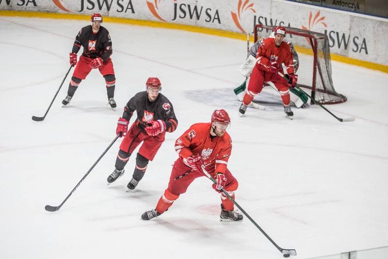 Ice Hockey. Poland national team. Training. 19.08.2021