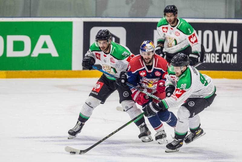 Ice Hockey. Champions Hockey League. JKH GKS Jastrzebie - Red Bull Salzburg. 05.09.2021