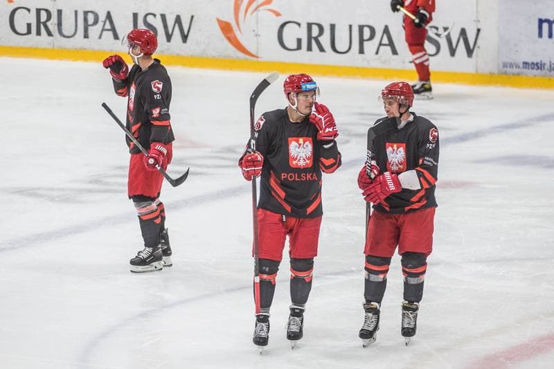 Ice Hockey. Poland national team. Training. 19.08.2021