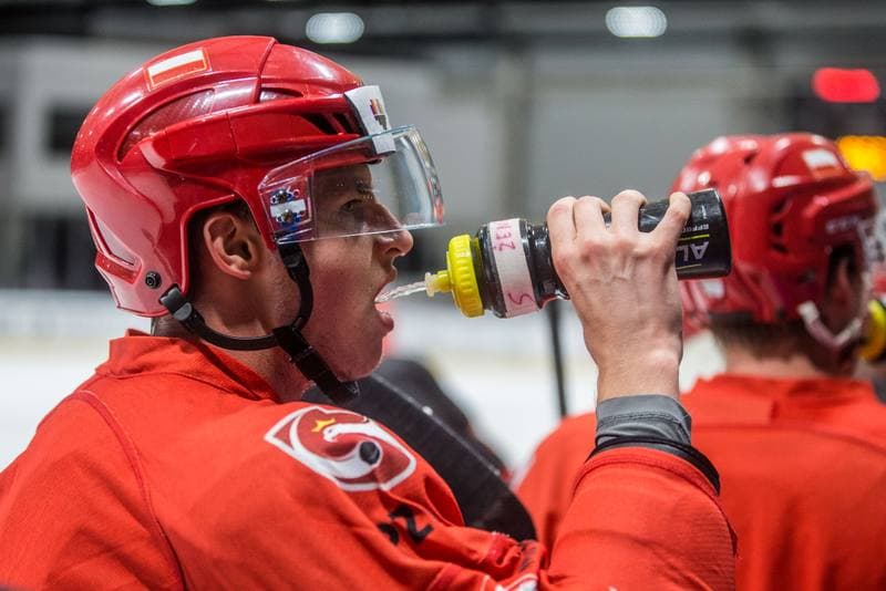 Ice Hockey. Poland national team. Training. 19.07.2021
