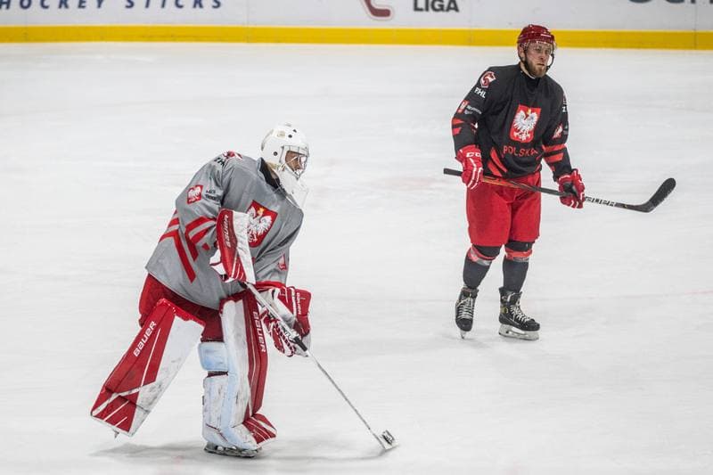 Ice Hockey. Poland national team. Training. 20.07.2021
