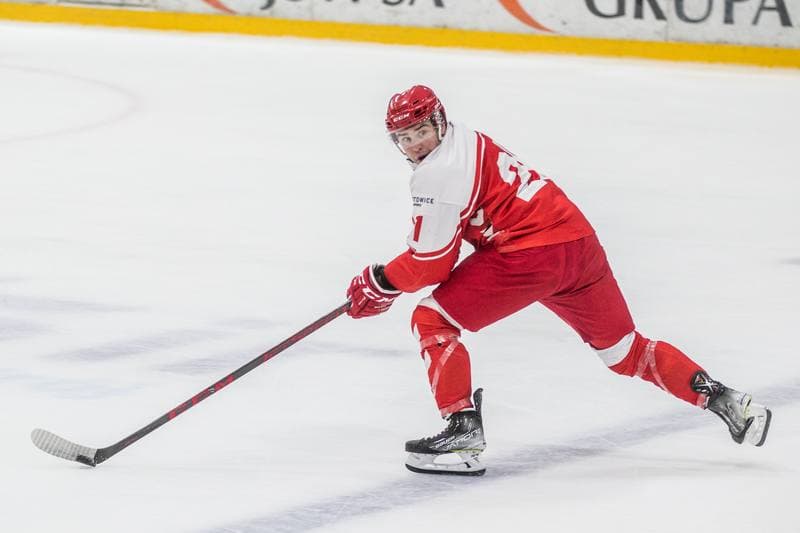 Ice Hockey. Sparing. Reprezentacja Polski - JKH GKS Jastrzebie. 22.08.2021