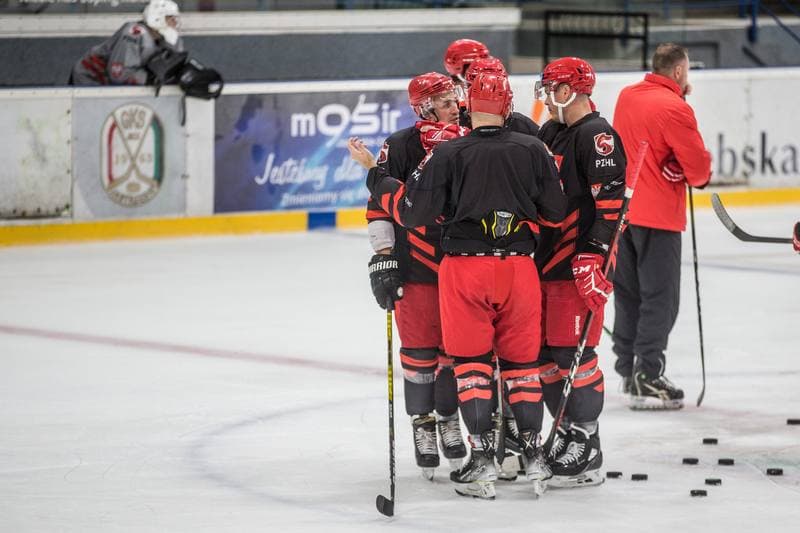 Ice Hockey. Poland national team. Training. 19.08.2021