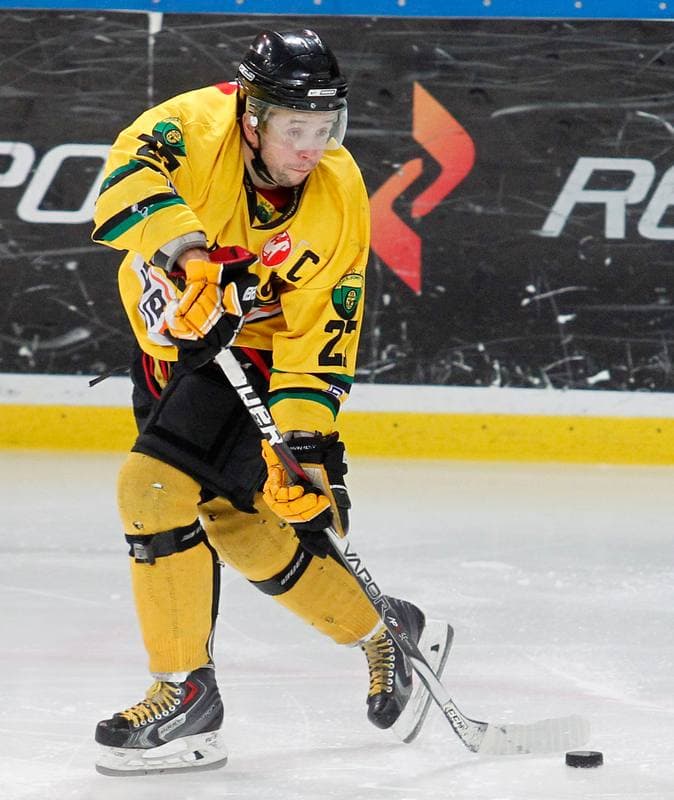Ice Hockey. Polska Hokej Liga. HC GKS Katowice - KTH Krynica. 21.02.2014