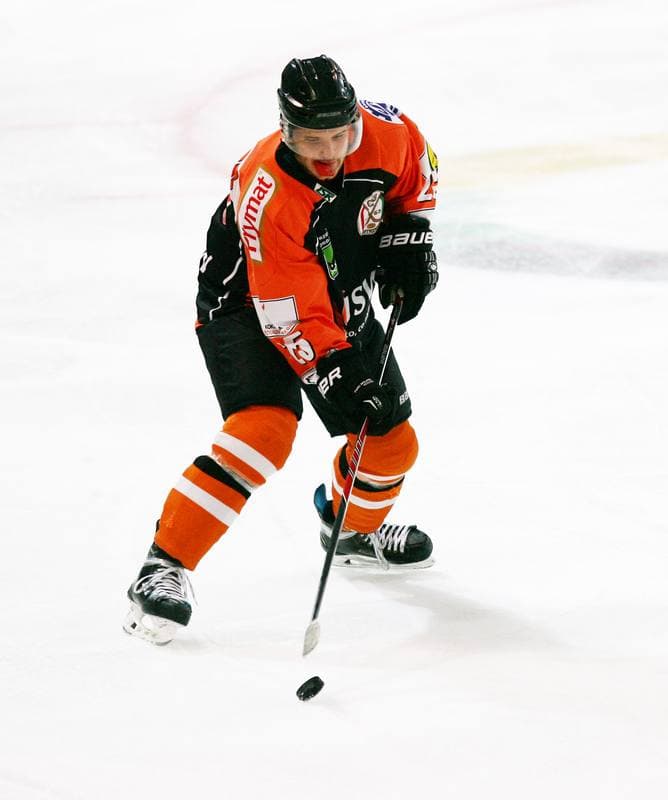 Ice Hockey. Polska Hokej Liga. Polonia Bytom - JKH GKS Jastrzebie. 14.12.2014
