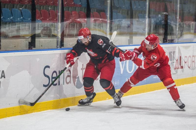 Ice Hockey. Poland national team. Training. 22.07.2021