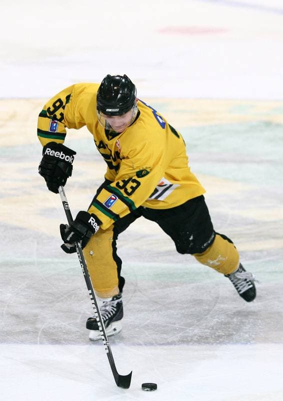 Ice Hockey. Polska Hokej Liga. HC GKS Katowice - JKH GKS Jastrzebie. 16.01.2015