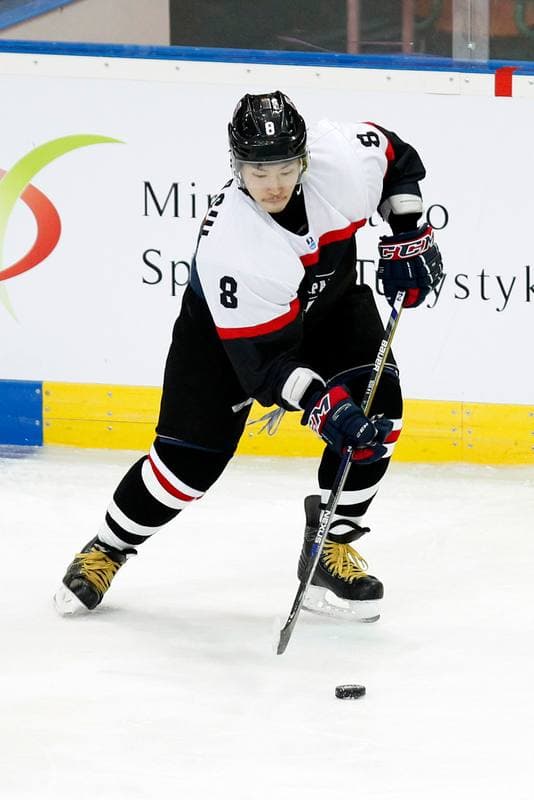 Ice Hockey. World Championship Division 1A. Japan - Italy. 27.04.2016