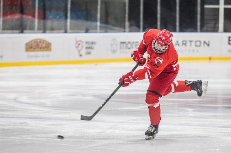 Ice Hockey. Poland national team. Training. 22.07.2021