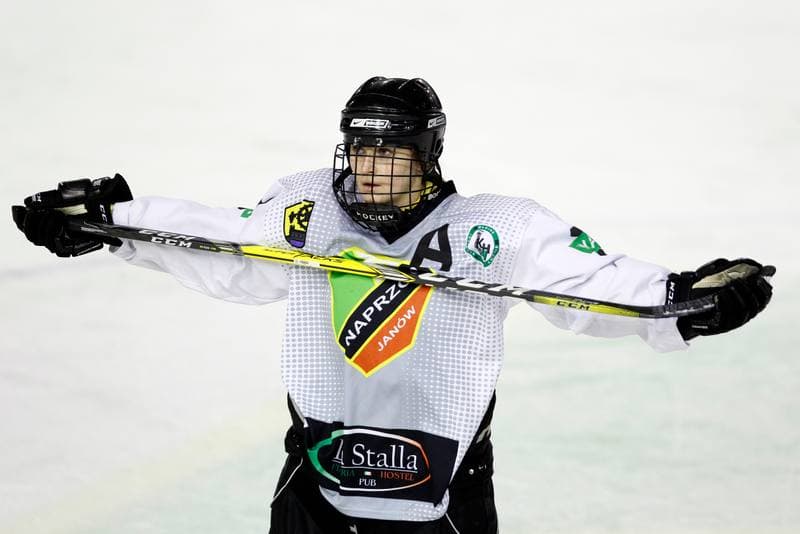 Ice Hockey. PLHK. Naprzod Janow - Polonia Bytom. 18.01.2018