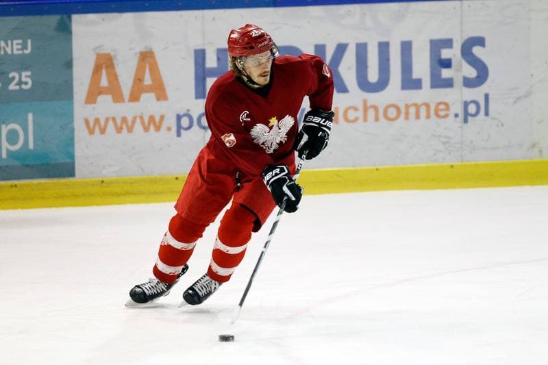 Ice Hockey. Poland national team. Training. 13.02.2018
