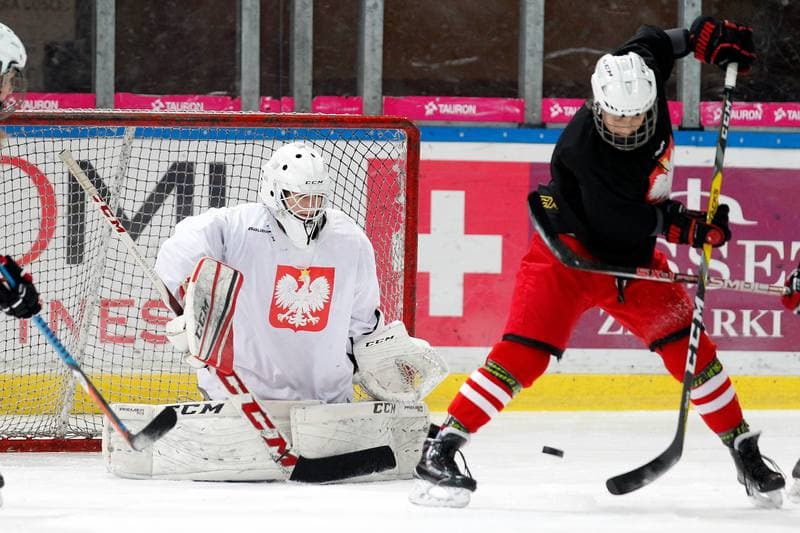 Ice Hockey. Poland national team. Training. 15.02.2018