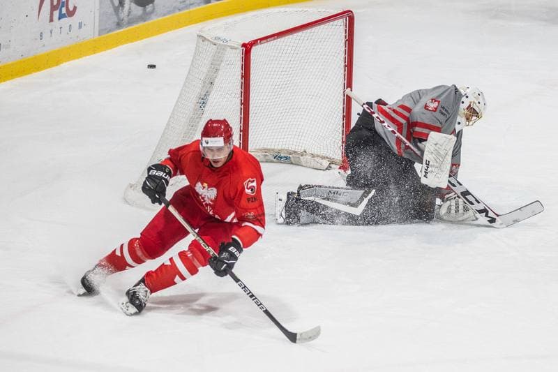 Ice Hockey. Poland national team. Training. 20.07.2021