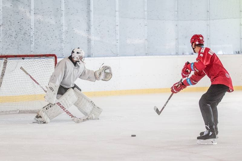Ice Hockey. Polish Artists Hockey Team. Training. 19.06.2021