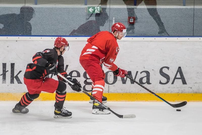 Ice Hockey. Poland national team. Training. 19.08.2021