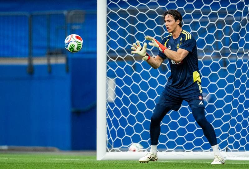 Football. World Cup 2026. Sweden. Training. 07.06.2026