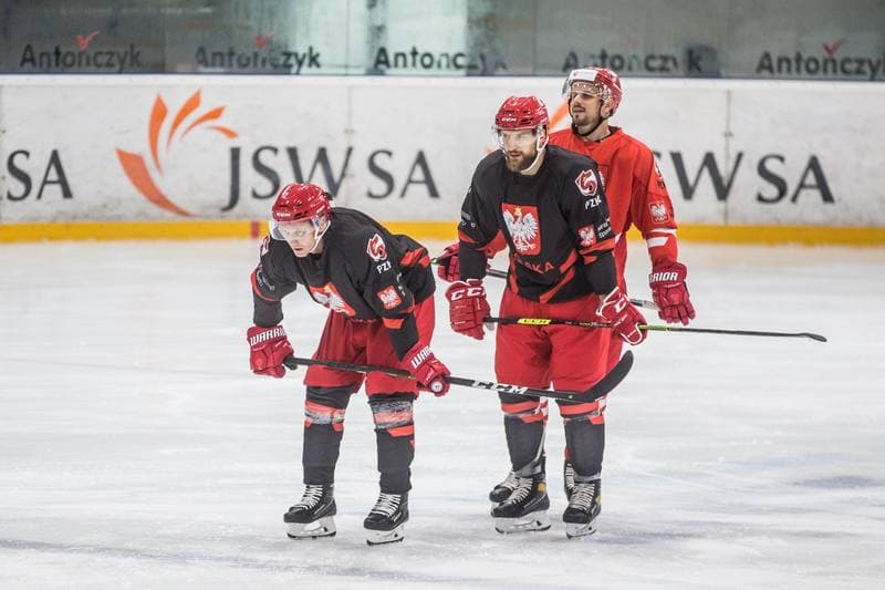 Ice Hockey. Poland national team. Training. 19.08.2021