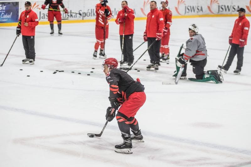 Ice Hockey. Poland national team. Training. 19.08.2021