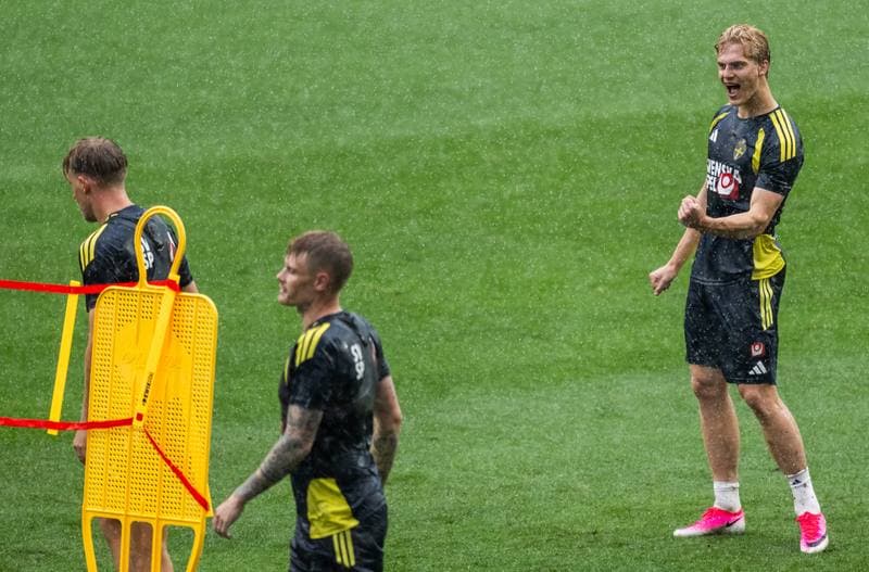 Football. World Cup 2026. Sweden. Training. 07.06.2026