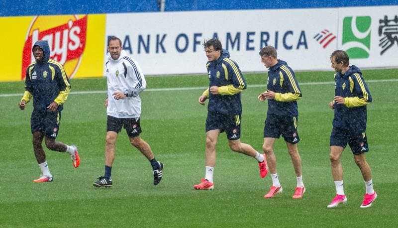 Football. World Cup 2026. Sweden. Training. 07.06.2026