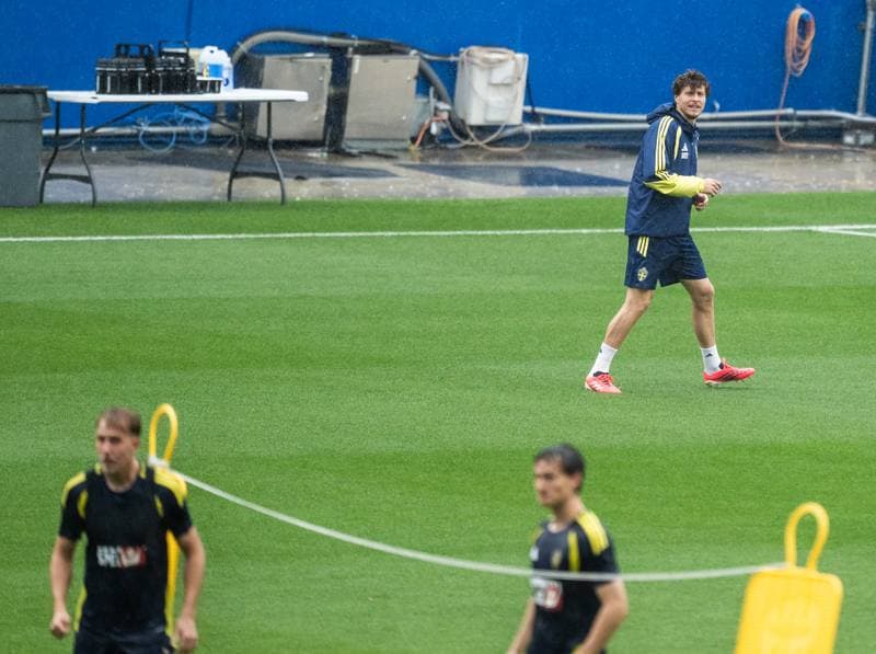 Football. World Cup 2026. Sweden. Training. 07.06.2026