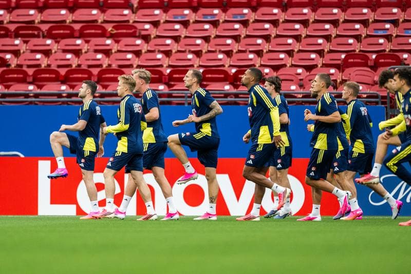 Football. World Cup 2026. Sweden. Training. 07.06.2026