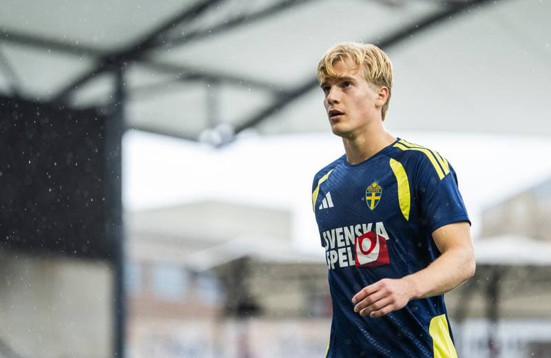 Football. World Cup 2026. Sweden. Training. 07.06.2026